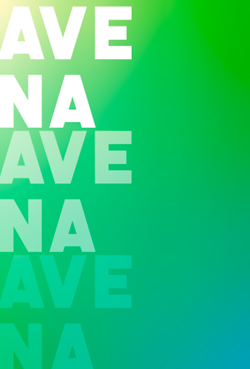 AVENA DE FRUTOS ROJOS